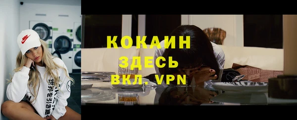 Альфа ПВП Горняк