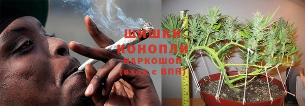 Альфа ПВП Горняк