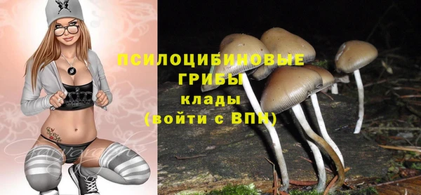 круглые Вяземский