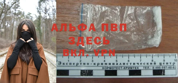Альфа ПВП Горняк