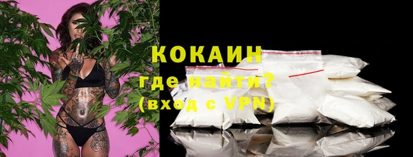 Альфа ПВП Горняк
